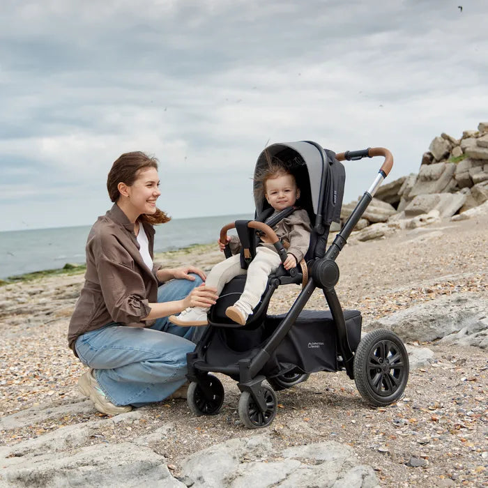 Happy Baby Mommer Pro 2-in-1 Stroller